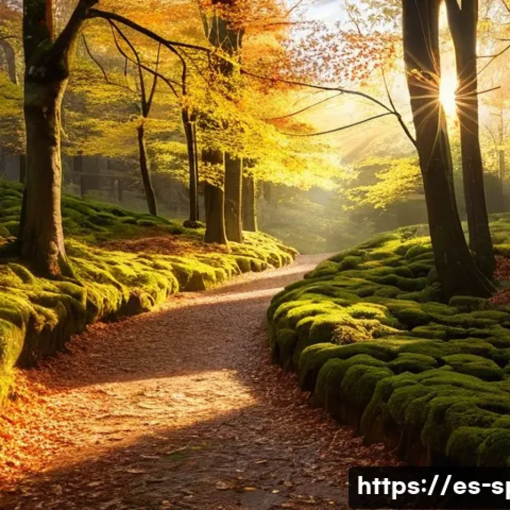 홍천 은행나무숲 가을사진 - **"Golden Hour Enchantment in a Spanish Beech Forest"**
    A highly detailed, realistic photograph ...