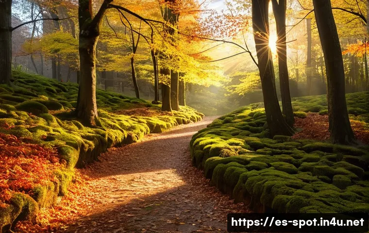 홍천 은행나무숲 가을사진 - **"Golden Hour Enchantment in a Spanish Beech Forest"**
    A highly detailed, realistic photograph ...